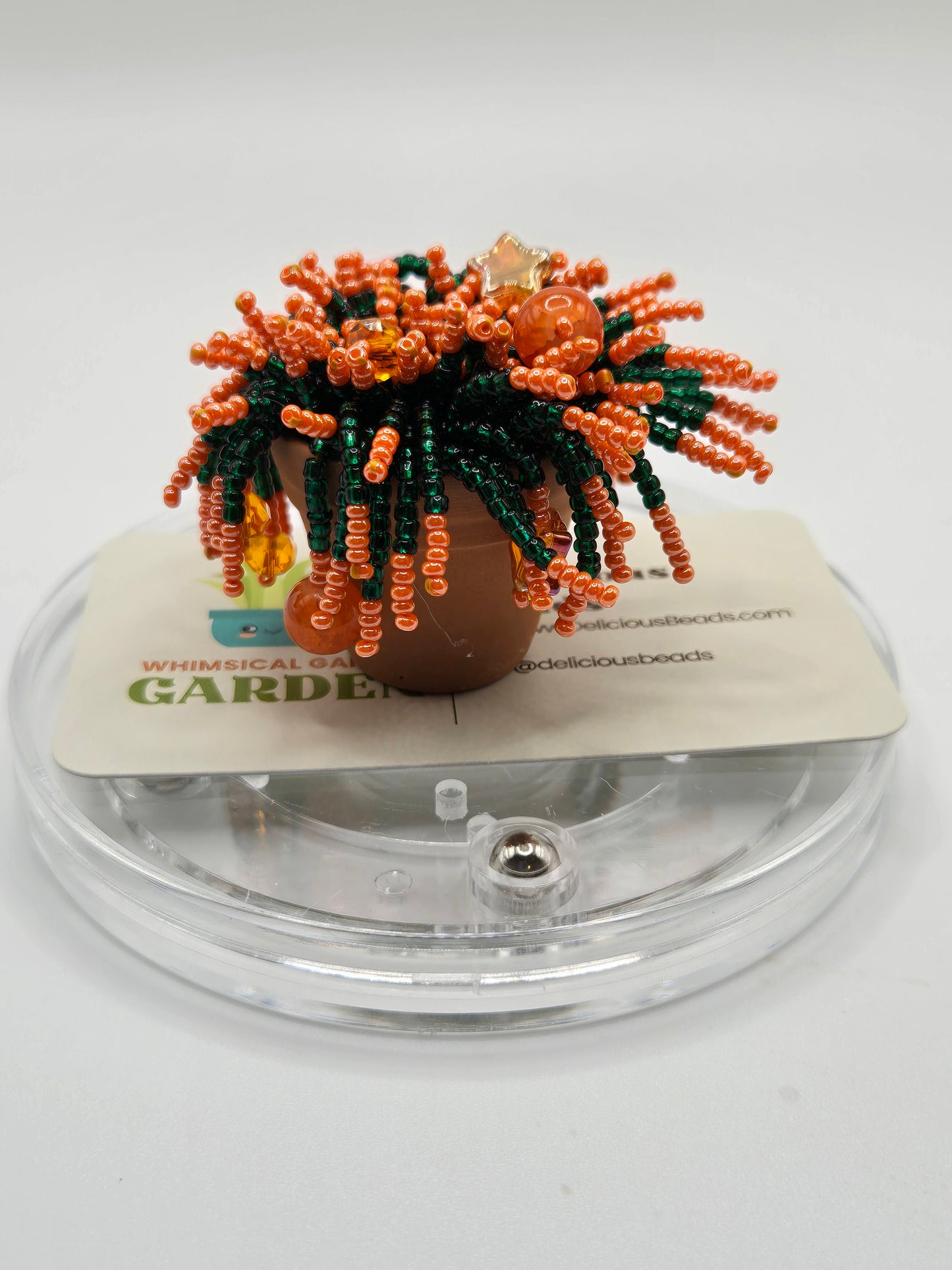 Tango- Orange Special miniature beaded plant