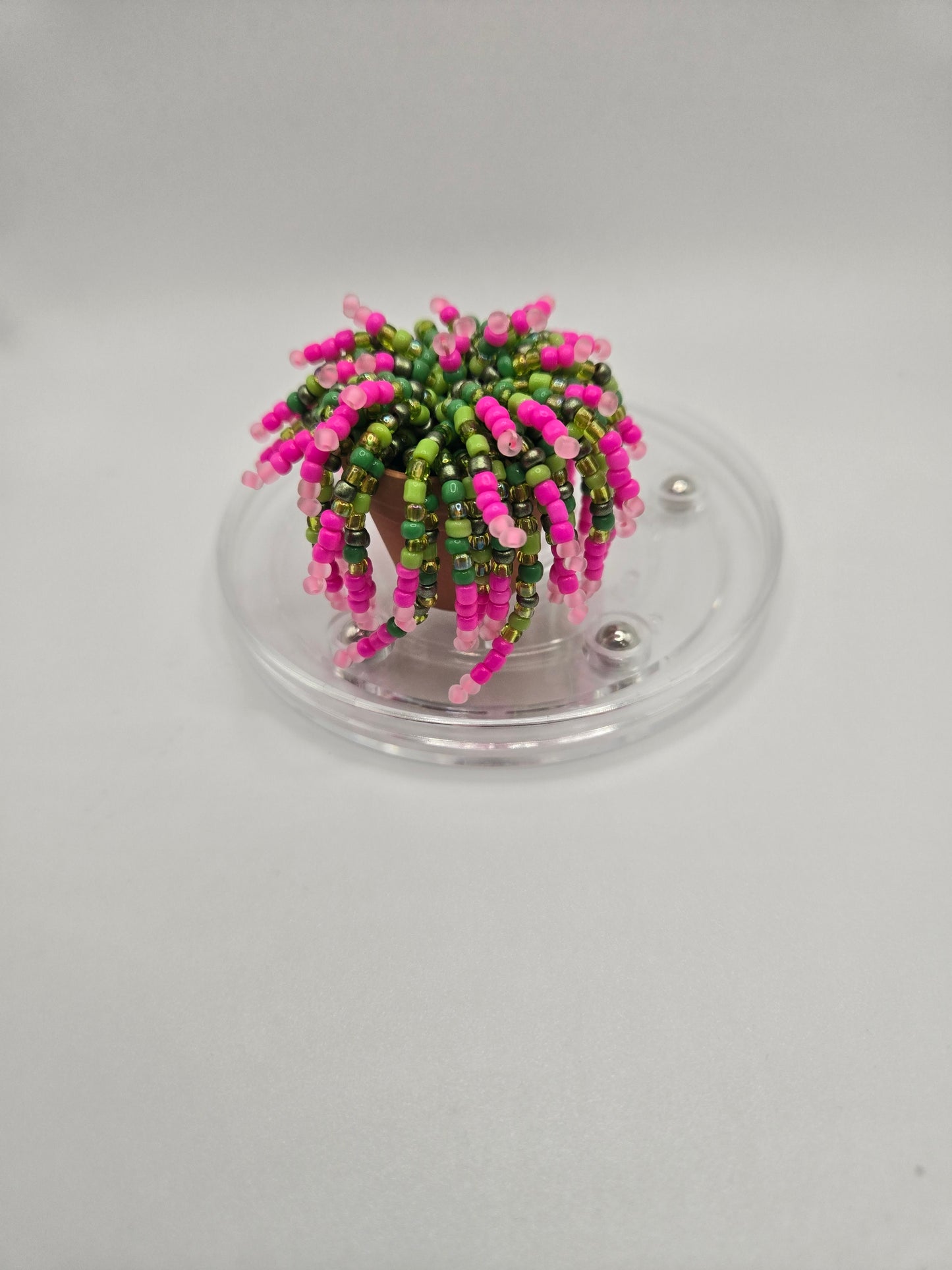 Tiny Tina- miniature beaded plant