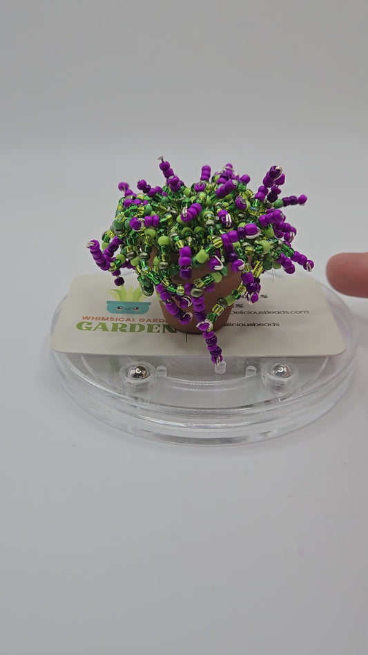 Medusa - Purple miniature beaded plant