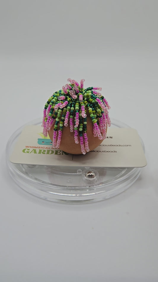 Rosy- Pink miniature beaded plant