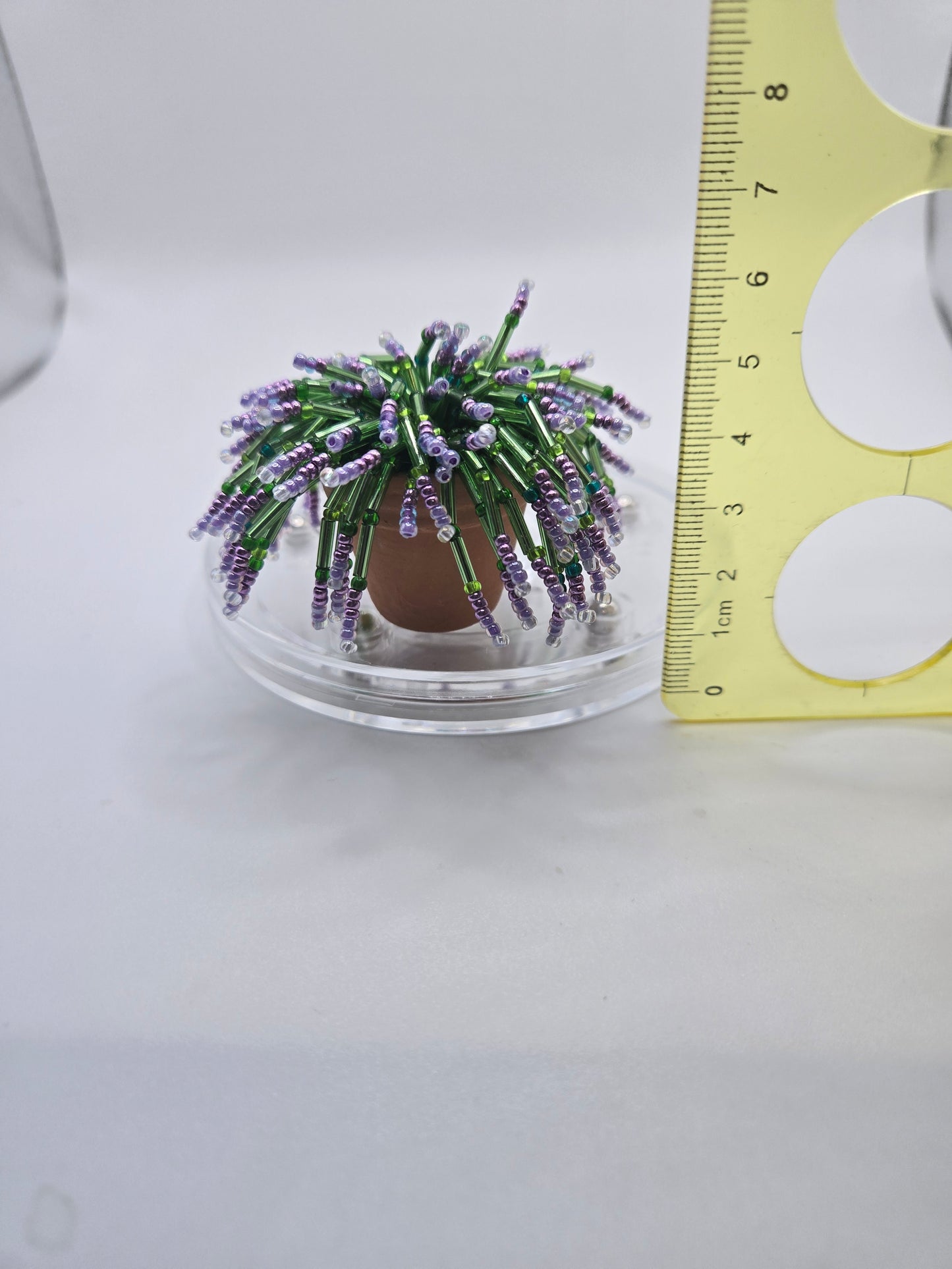 Fernie Mac- Purple beaded plant