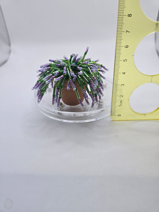 Fernie Mac- Purple beaded plant
