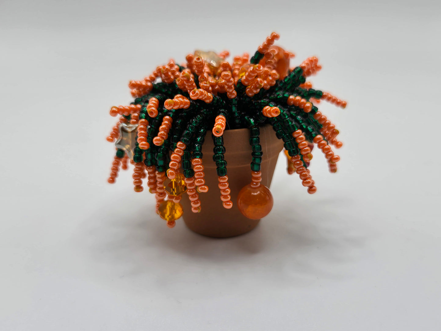 Tango- Orange Special miniature beaded plant