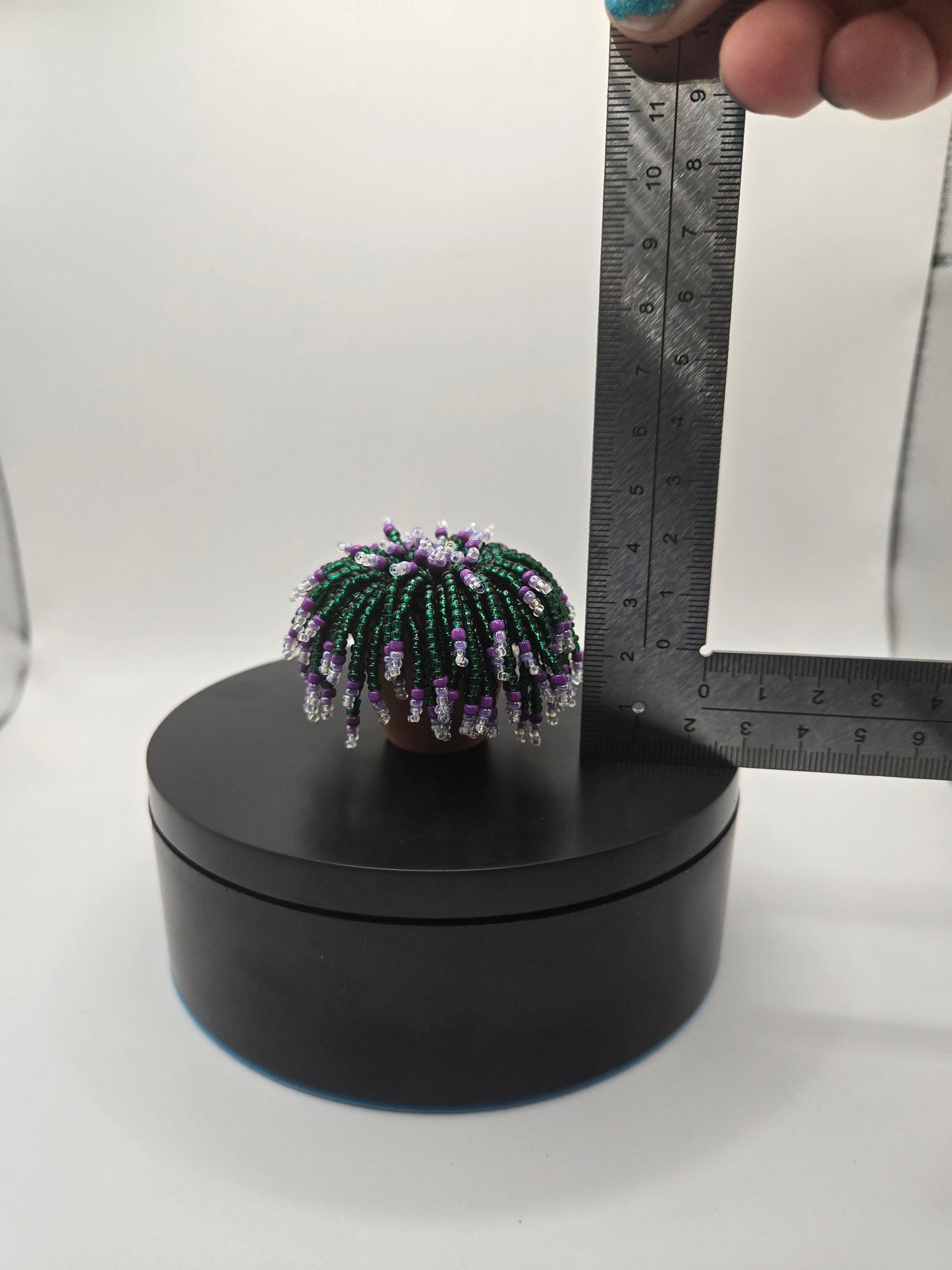 Purple Dream