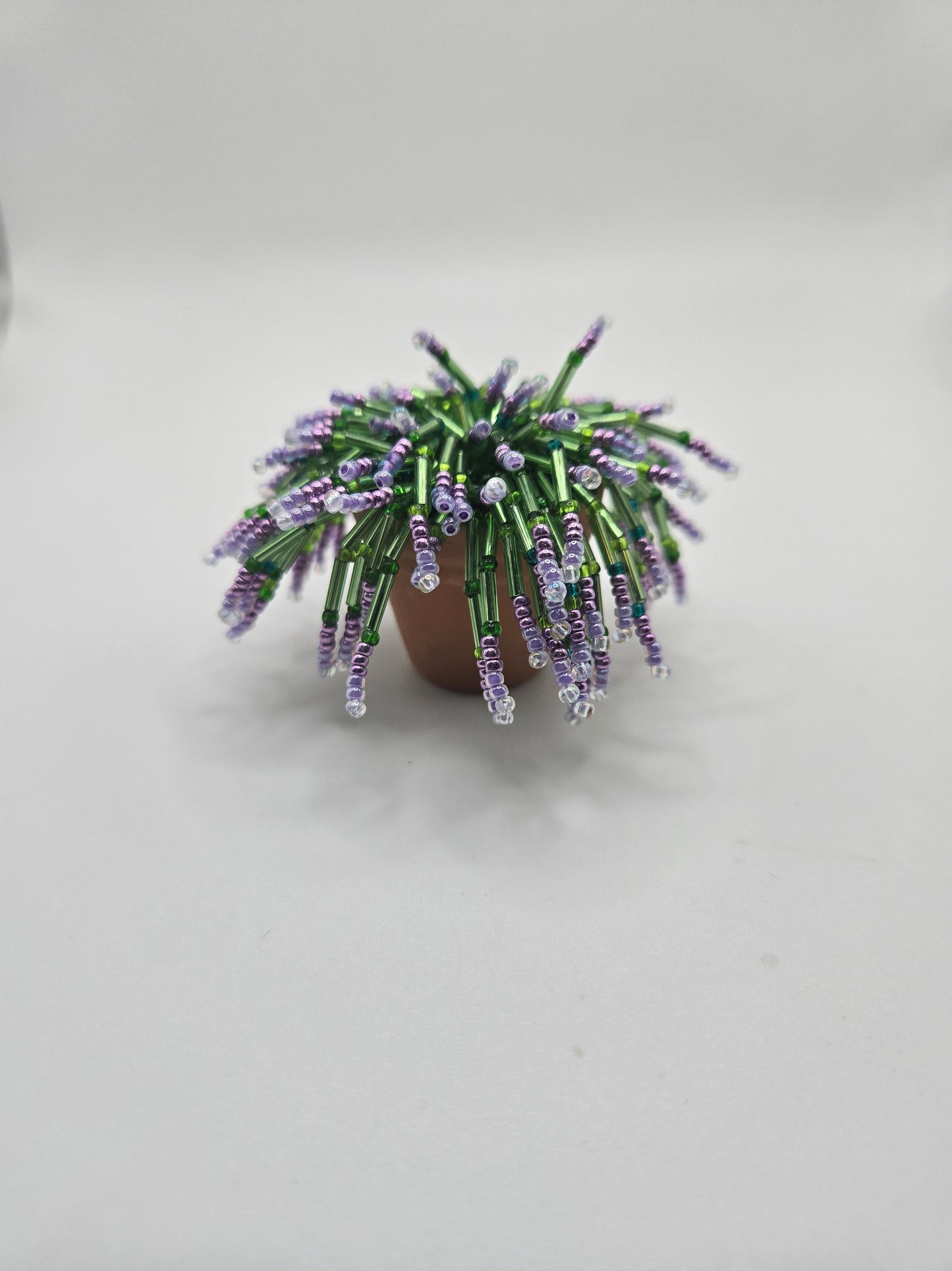 Fernie Mac- Purple beaded plant